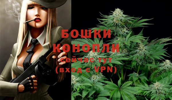 ПСИЛОЦИБИНОВЫЕ ГРИБЫ Заволжск