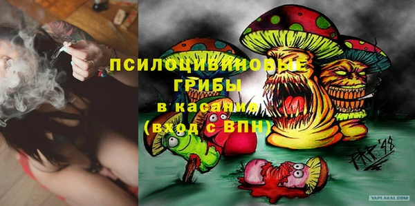 ешки Заводоуковск