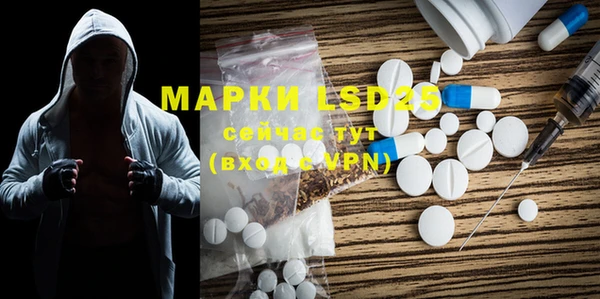 ПСИЛОЦИБИНОВЫЕ ГРИБЫ Заволжск