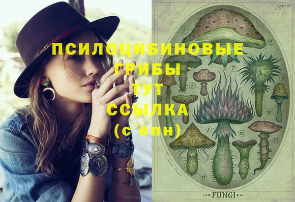 прущие крисы Заволжье