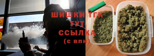 ПСИЛОЦИБИНОВЫЕ ГРИБЫ Заволжск